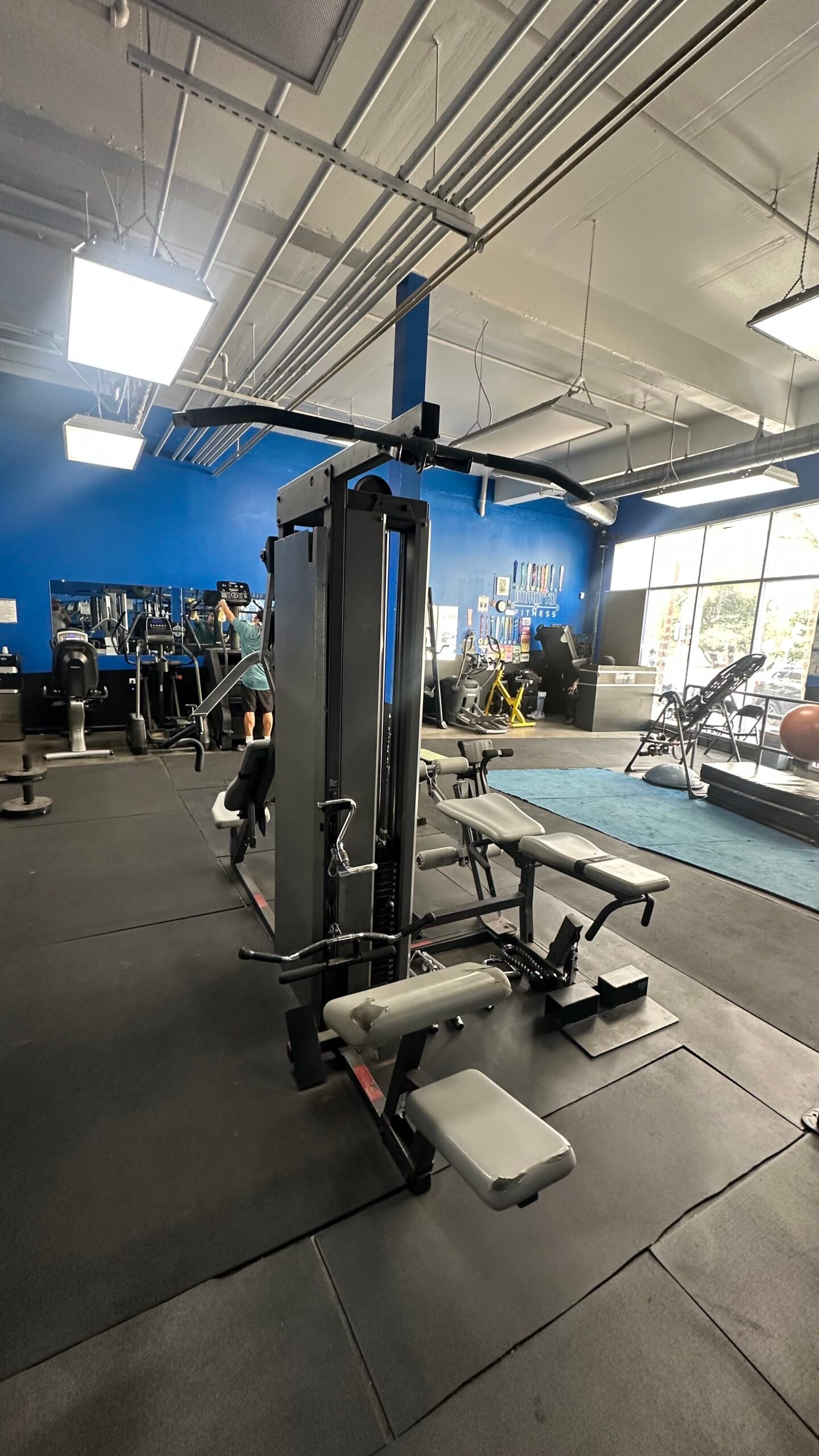 Entire Gym Liquidation Sale